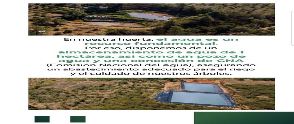 Foto de rancho en venta en x , acuitzio del canje, acuitzio, michoacán de ocampo, 0 No. 05