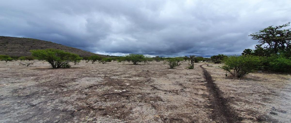 Foto de terreno habitacional en venta en x , atotonilco el grande centro, atotonilco el grande, hidalgo, 25887505 No. 01