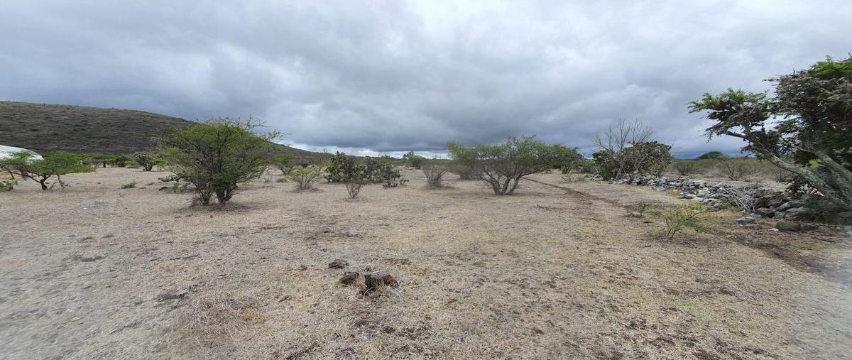 Foto de terreno habitacional en venta en x , atotonilco el grande centro, atotonilco el grande, hidalgo, 25887505 No. 04