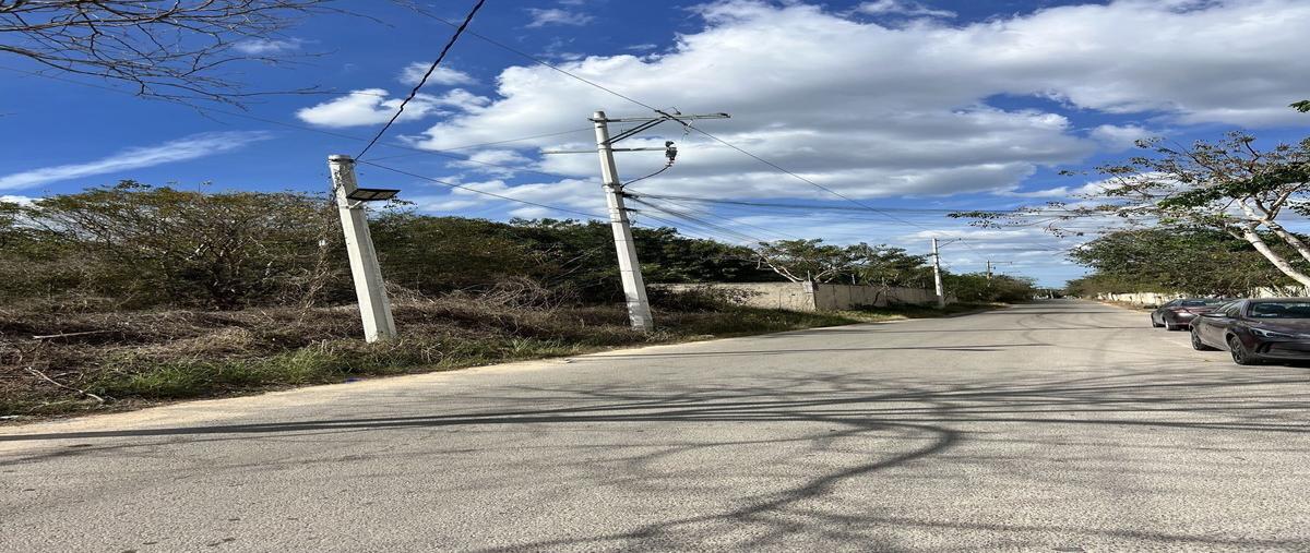 Foto de terreno habitacional en venta en x avenida temozon , temozon norte, mérida, yucatán, 29431517 No. 03