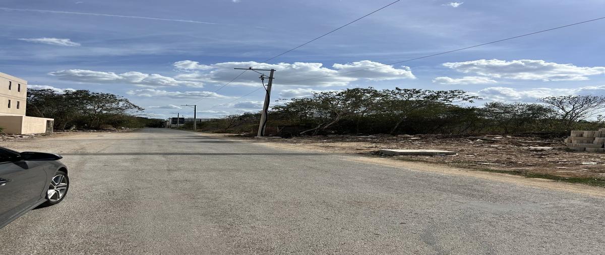 Foto de terreno habitacional en x avenida temozon , temozon norte, mérida, yucatán, 0 foto 02 Foto de terreno habitacional en venta en x avenida temozon , temozon norte, mérida, yucatán, 0 No. 02