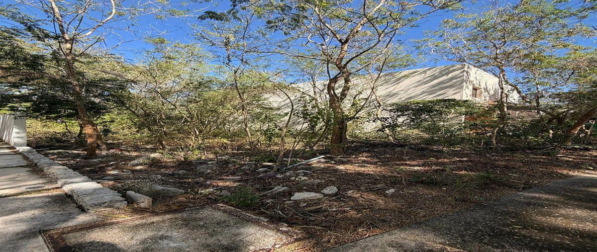 Foto de terreno habitacional en venta en x , cabo norte, mérida, yucatán, 0 No. 03