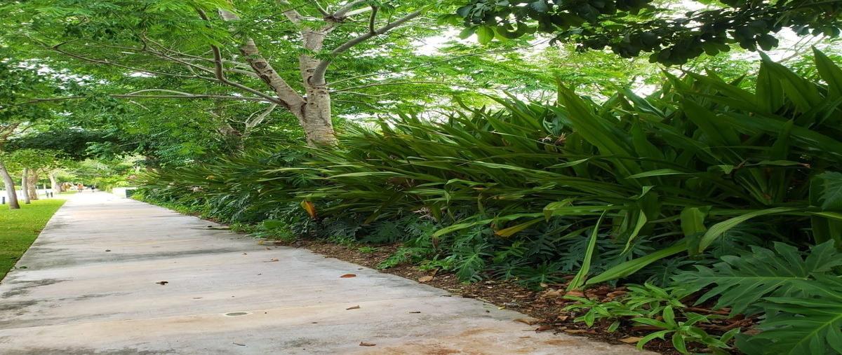 Foto de terreno habitacional en venta en x , cabo norte, mérida, yucatán, 0 No. 05