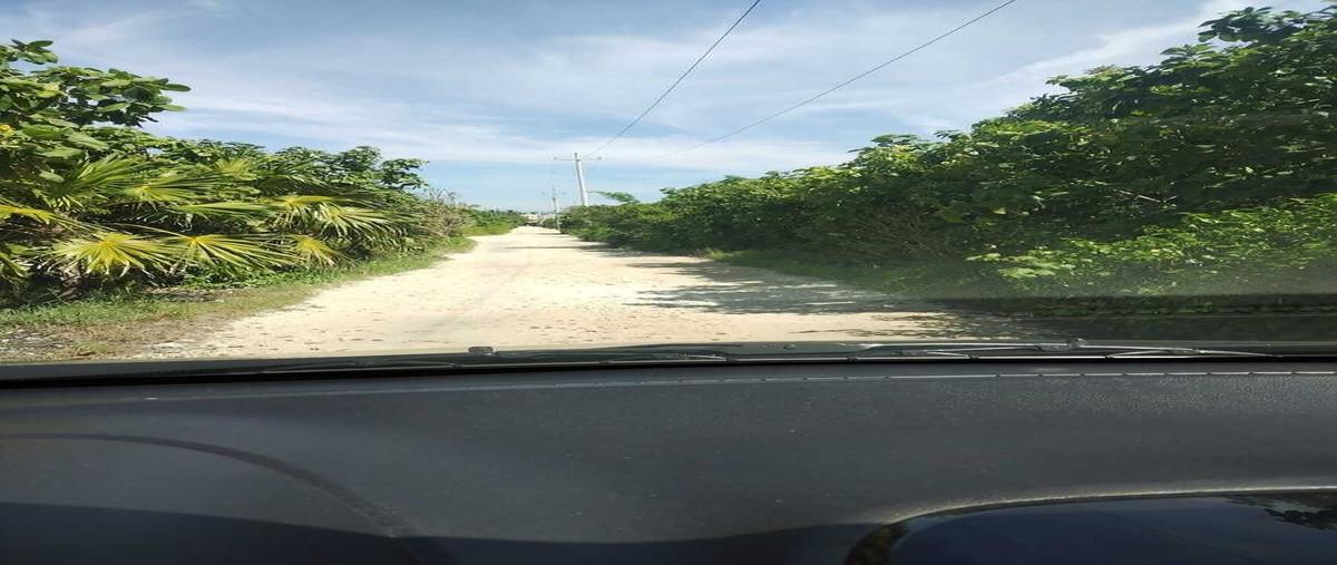 Foto de terreno habitacional en venta en x , chicxulub, chicxulub pueblo, yucatán, 0 No. 03