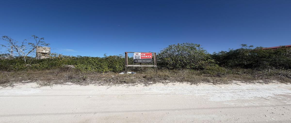 Foto de terreno habitacional en venta en x , chicxulub puerto, progreso, yucatán, 30907204 No. 03