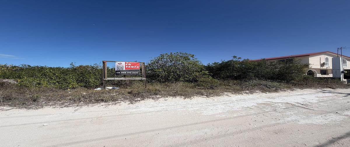 Foto de terreno habitacional en venta en x , chicxulub puerto, progreso, yucatán, 30907204 No. 04