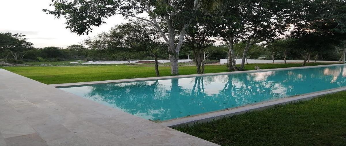 Foto de terreno habitacional en venta en x , dzidzilché, mérida, yucatán, 0 No. 05