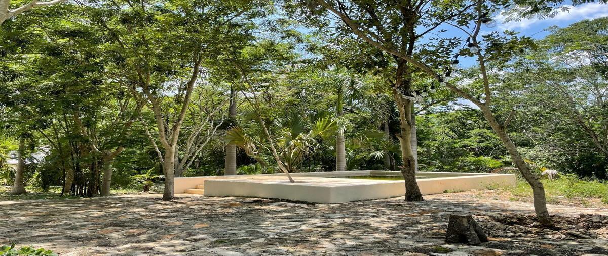 Foto de rancho en venta en x , itzincab, tecoh, yucatán, 0 No. 03
