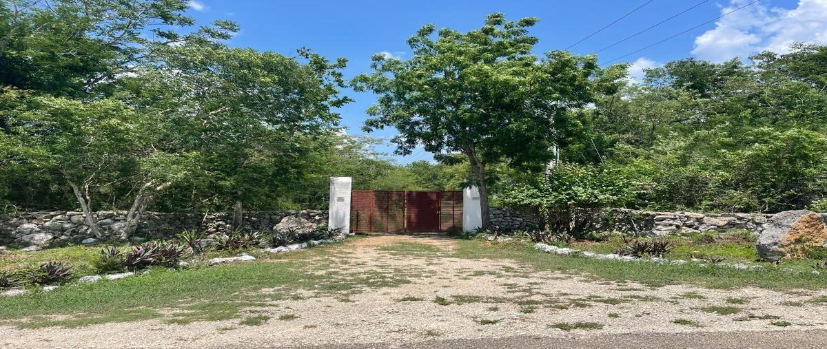 Foto de rancho en venta en x , itzincab, tecoh, yucatán, 0 No. 05