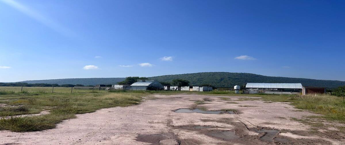 Foto de rancho en x , labor de guadalupe, durango, durango, 0 foto 03 Foto de rancho en venta en x , labor de guadalupe, durango, durango, 0 No. 03