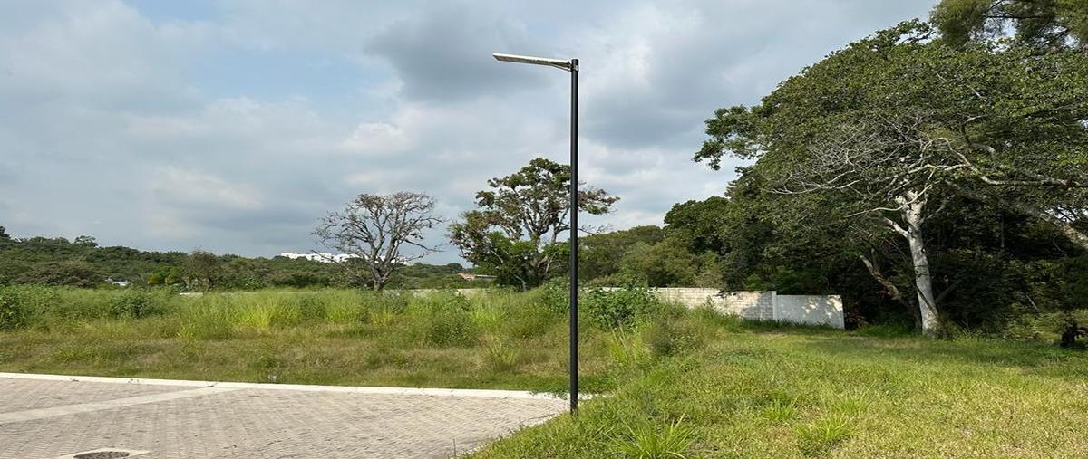 Foto de terreno habitacional en venta en x , lomas de cocoyoc, atlatlahucan, morelos, 28901871 No. 03
