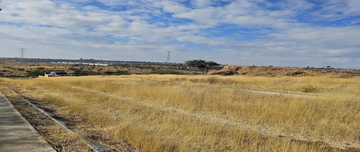 Foto de terreno habitacional en venta en x , norias del paso hondo, aguascalientes, aguascalientes, 0 No. 04