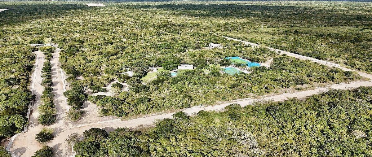 Foto de terreno habitacional en venta en x , paraíso, mérida, yucatán, 0 No. 05