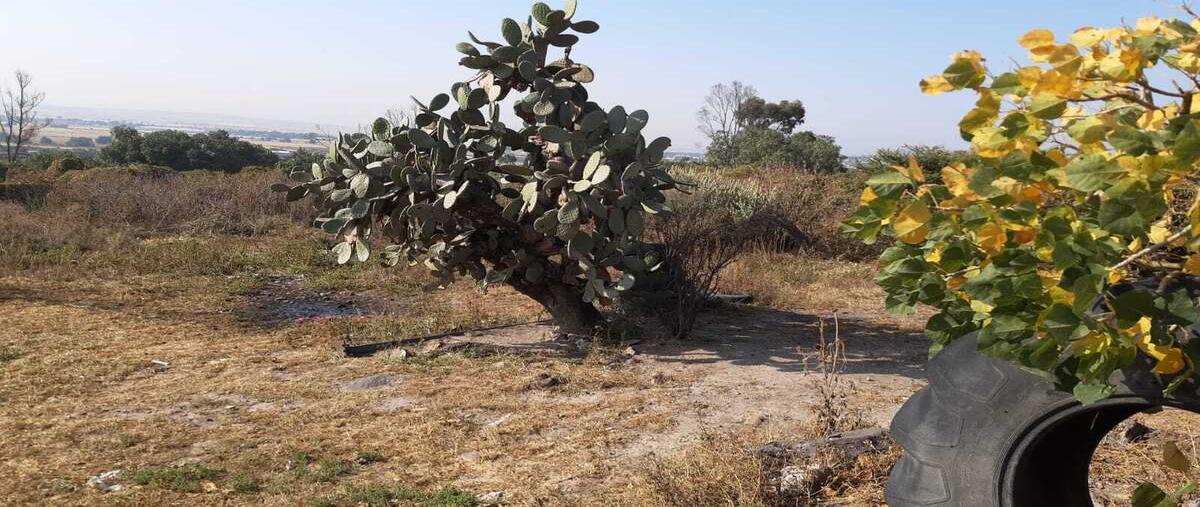 Foto de casa en venta en x , tolcayuca centro, tolcayuca, hidalgo, 28841857 No. 05