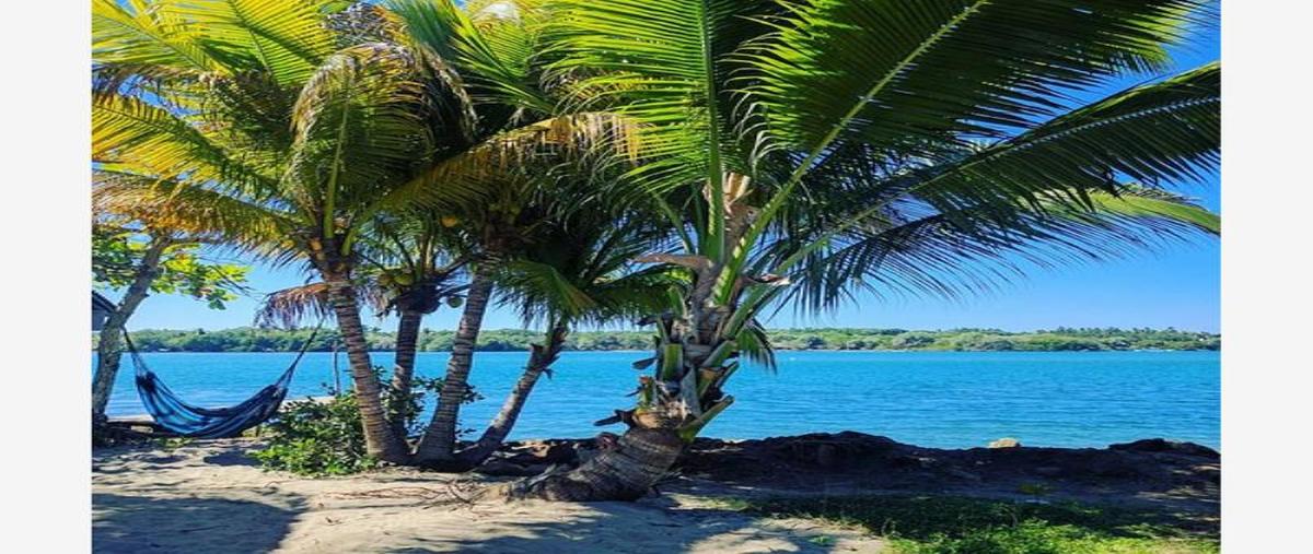 Foto de terreno comercial en x x, san josé de las flores, santiago jamiltepec, oaxaca, 0 foto 01 Foto de terreno comercial en venta en x x, san josé de las flores, santiago jamiltepec, oaxaca, 0 No. 01