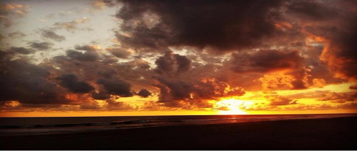 Foto de terreno comercial en x x, san josé de las flores, santiago jamiltepec, oaxaca, 0 foto 03 Foto de terreno comercial en venta en x x, san josé de las flores, santiago jamiltepec, oaxaca, 0 No. 03