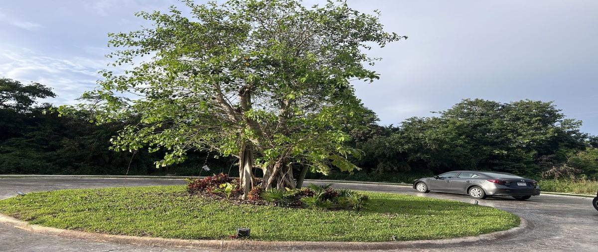 Foto de terreno habitacional en venta en x , xcunyá, mérida, yucatán, 0 No. 03