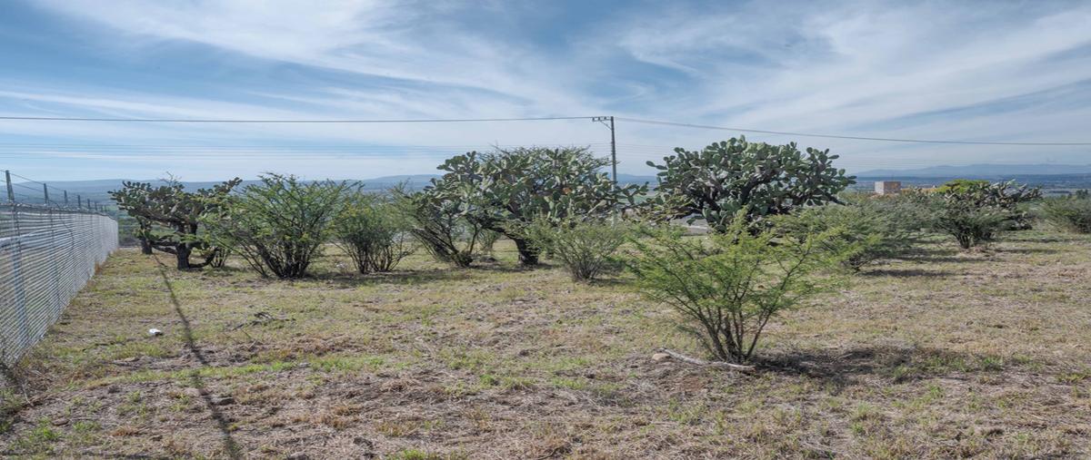 Foto de terreno habitacional en venta en x639+89r temaxcalli, guanajuato , temaxcalli, san miguel de allende, guanajuato, 26861338 No. 05