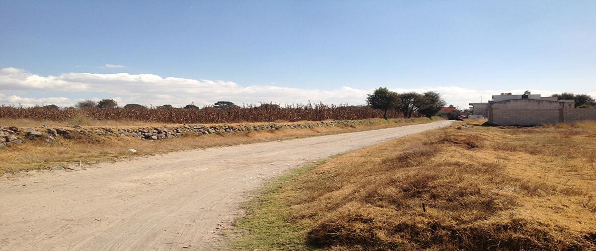 Foto de terreno habitacional en renta en  , xahuén vargas, san pablo del monte, tlaxcala, 8873147 No. 03