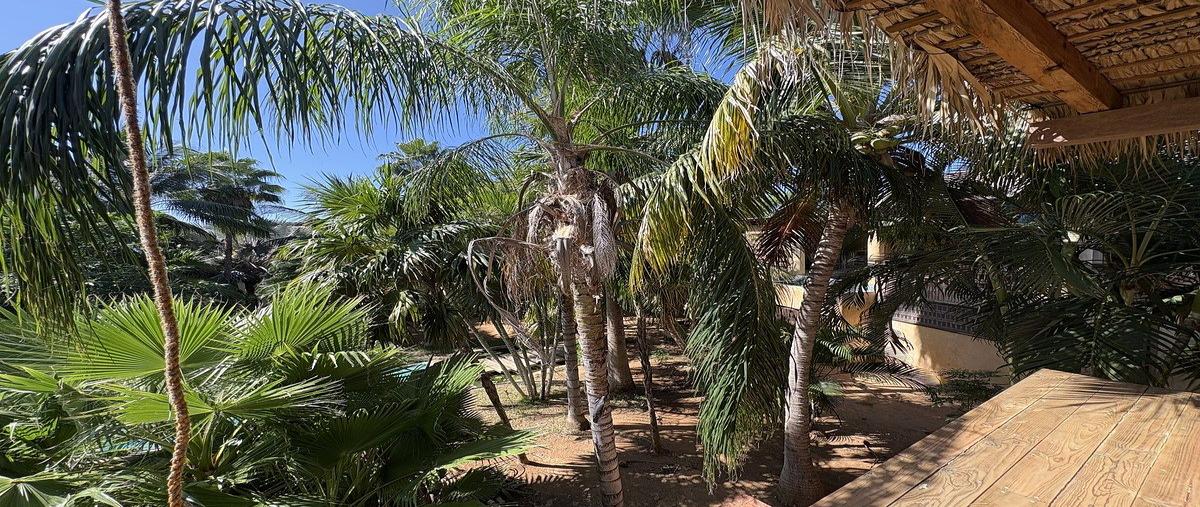 Foto de casa en xalacaste , barra de navidad, santa maría colotepec, oaxaca, 0 foto 10 Foto de casa en venta en xalacaste , barra de navidad, santa maría colotepec, oaxaca, 0 No. 10