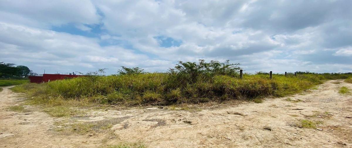 Foto de terreno habitacional en venta en xalapa terreno en venta 6.7 hectáreas en miradores , miradores (miradores del mar), emiliano zapata, veracruz de ignacio de la llave, 0 No. 05