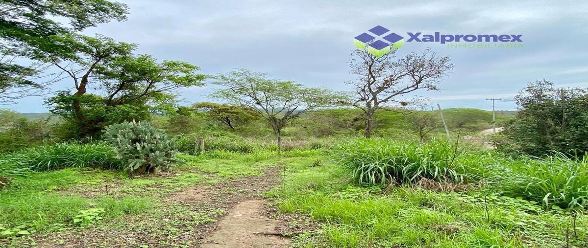 Foto de terreno habitacional en xalapa terreno en venta de 3, 600m2 zona valle real , tres pasos, emiliano zapata, veracruz de ignacio de la llave, 0 foto 05 Foto de terreno habitacional en venta en xalapa terreno en venta de 3, 600m2 zona valle real , tres pasos, emiliano zapata, veracruz de ignacio de la llave, 0 No. 05