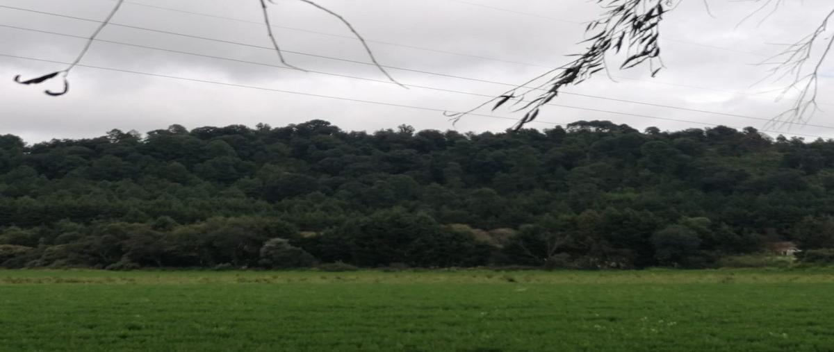 Foto de terreno habitacional en venta en  , xalatlaco, xalatlaco, méxico, 28252754 No. 03