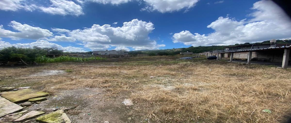 Foto de terreno habitacional en venta en  , xalisco centro, xalisco, nayarit, 0 No. 05