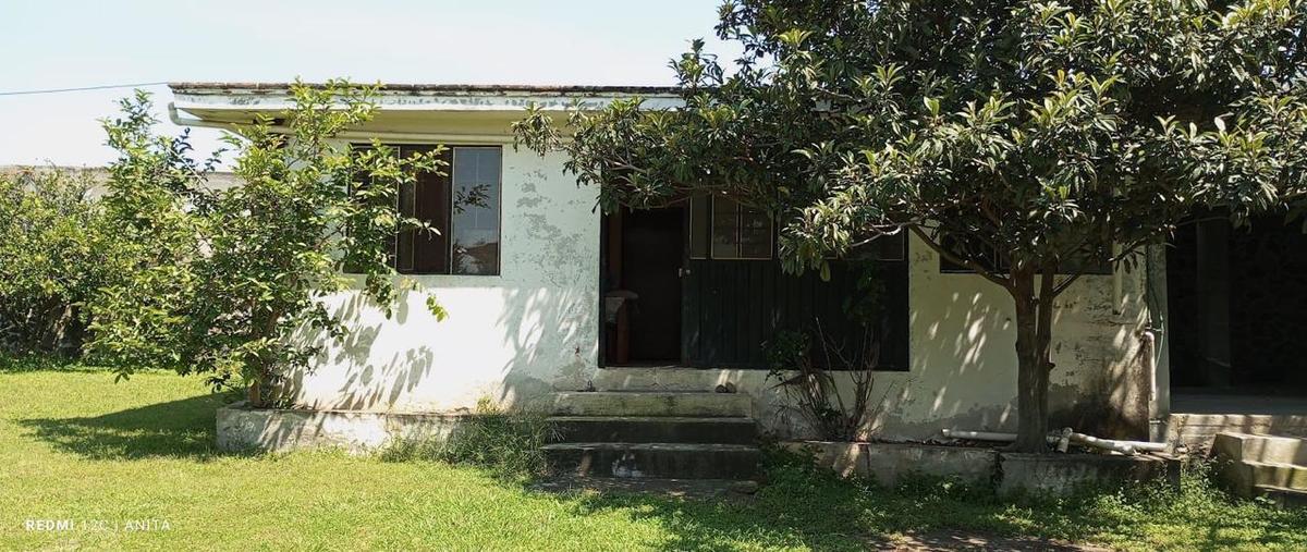 Foto de casa en venta en  , xalpa, yecapixtla, morelos, 0 No. 03