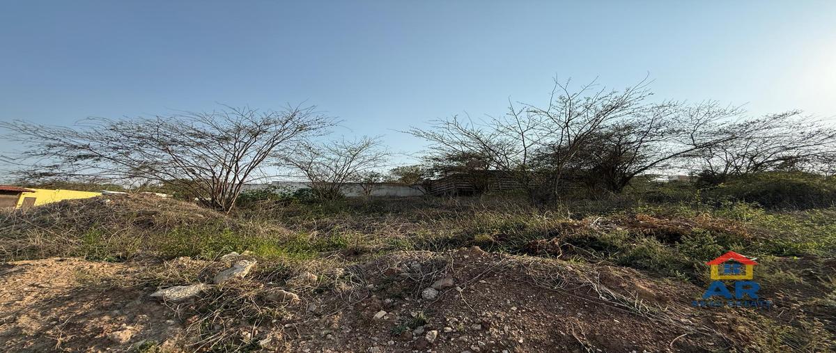 Foto de terreno habitacional en venta en  , xaltic, xalapa, veracruz de ignacio de la llave, 0 No. 03