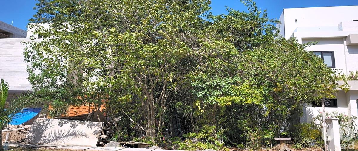 Foto de terreno habitacional en venta en xaman-ha , la joya, solidaridad, quintana roo, 31085417 No. 04