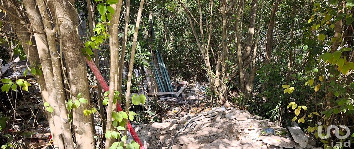 Foto de terreno habitacional en venta en xaman-ha , la joya, solidaridad, quintana roo, 31085417 No. 05