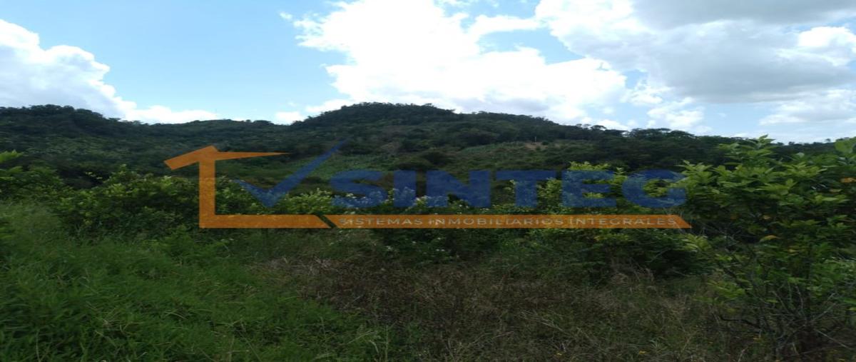 Foto de terreno habitacional en venta en  , xanath 2, papantla, veracruz de ignacio de la llave, 0 No. 04