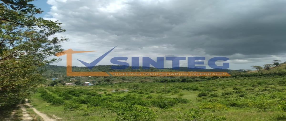 Foto de terreno habitacional en venta en  , xanath 2, papantla, veracruz de ignacio de la llave, 0 No. 05