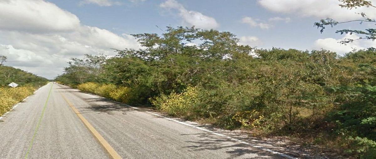 Foto de terreno habitacional en venta en  , x-cacal, maxcanú, yucatán, 27621772 No. 05