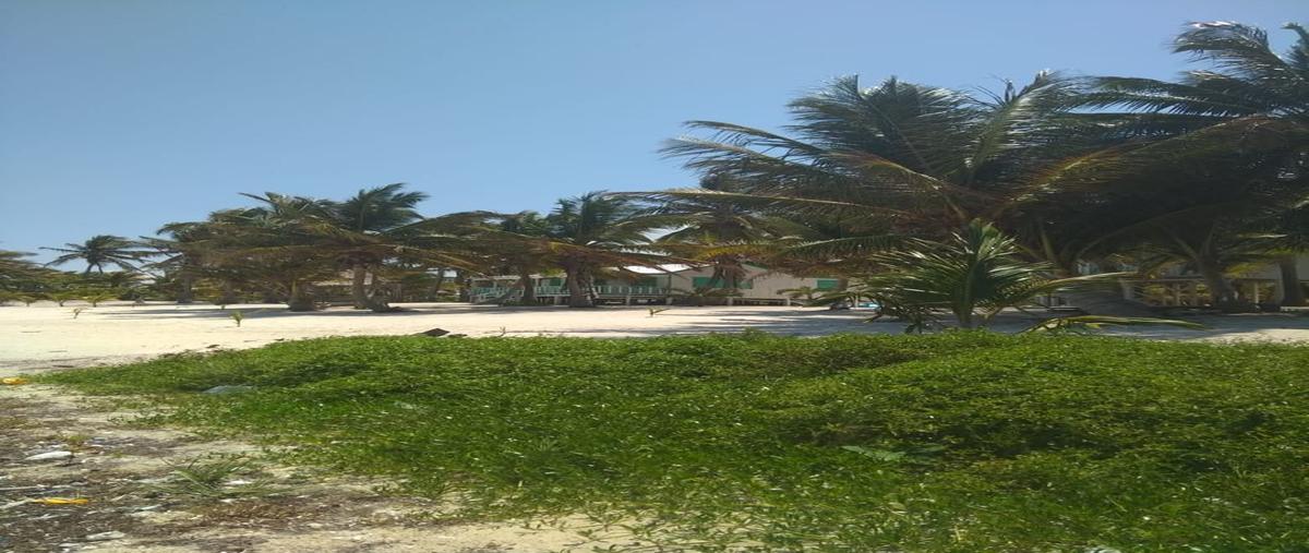 Foto de terreno habitacional en venta en  , xcalak, othón p. blanco, quintana roo, 16170117 No. 03