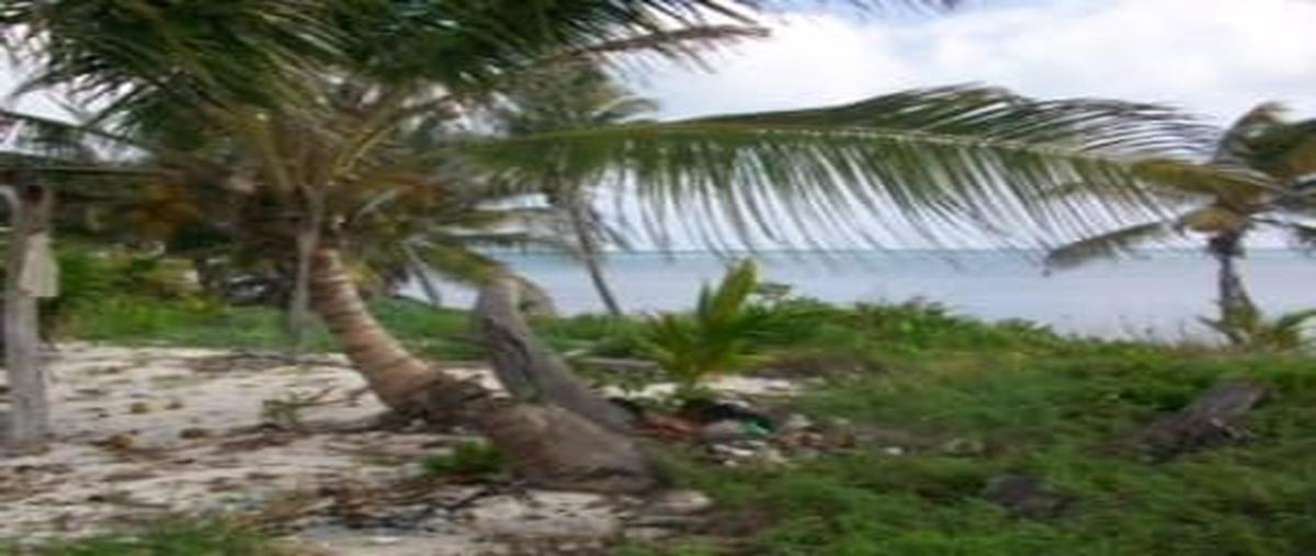 Foto de terreno habitacional en venta en  , xcalak, othón p. blanco, quintana roo, 16170117 No. 04