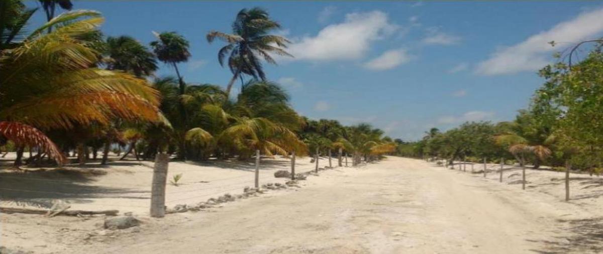 Foto de terreno habitacional en , xcalak, othón p. blanco, quintana roo, 0 foto 01 Foto de terreno habitacional en venta en , xcalak, othón p. blanco, quintana roo, 0 No. 01