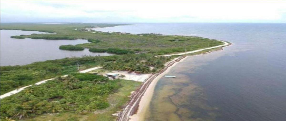 Foto de terreno habitacional en , xcalak, othón p. blanco, quintana roo, 0 foto 05 Foto de terreno habitacional en venta en , xcalak, othón p. blanco, quintana roo, 0 No. 05