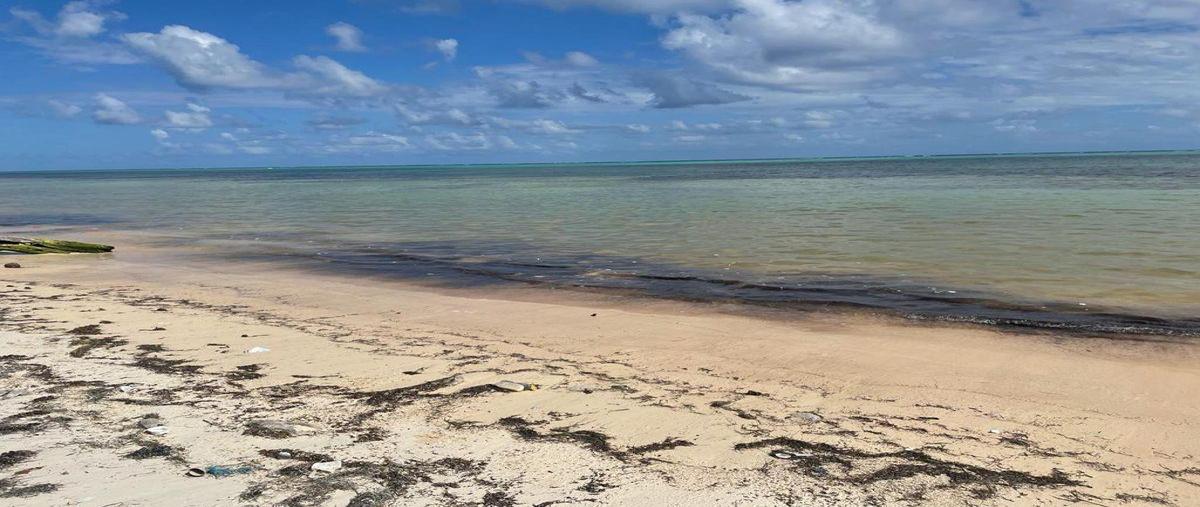 Foto de terreno habitacional en venta en  , xcalak, othón p. blanco, quintana roo, 0 No. 03