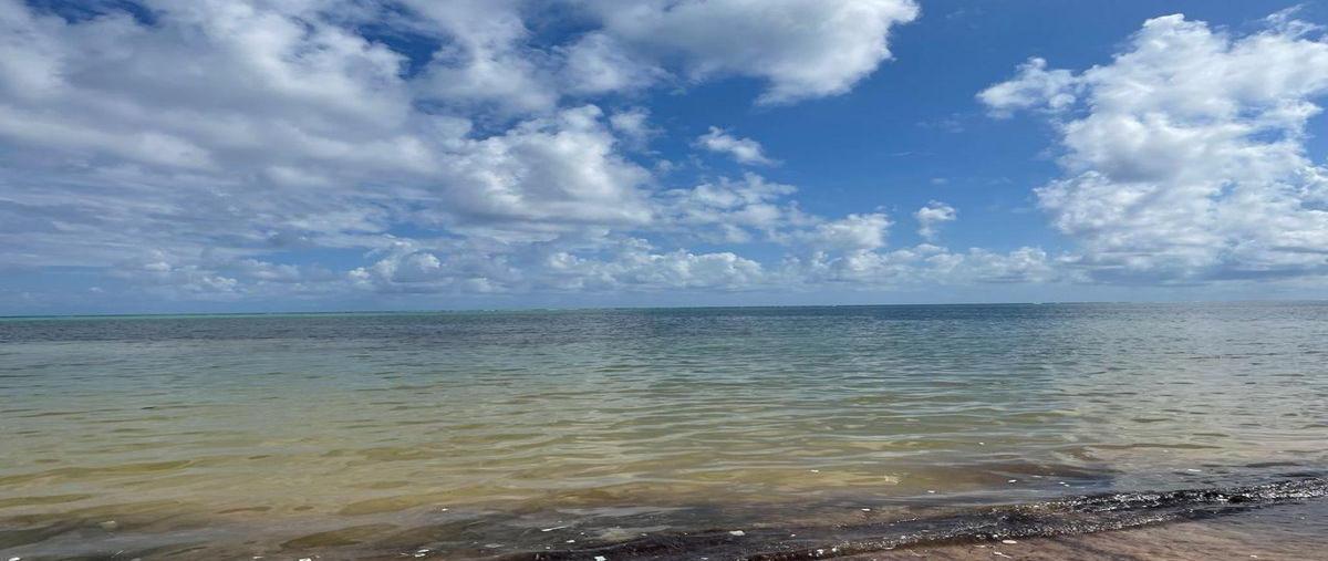 Foto de terreno habitacional en venta en  , xcalak, othón p. blanco, quintana roo, 0 No. 04
