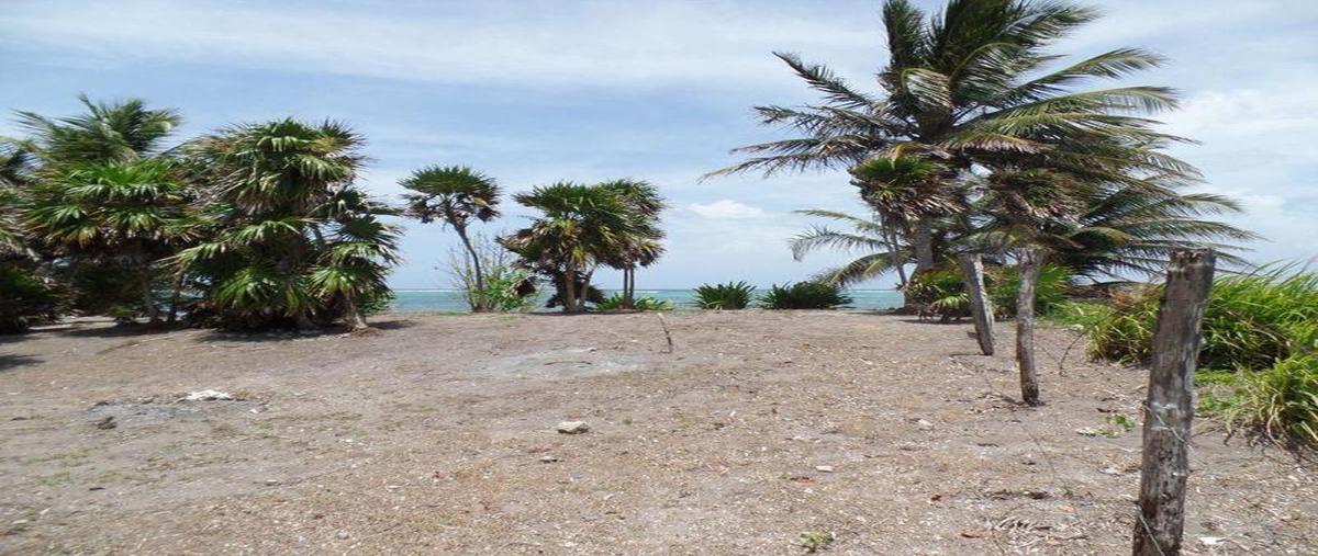 Foto de terreno habitacional en venta en  , xcalak, othón p. blanco, quintana roo, 0 No. 03