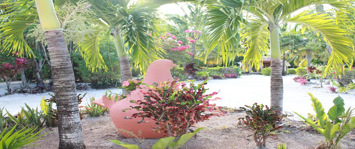 Foto de rancho en xcalak , xcalak, othón p. blanco, quintana roo, 28173177 foto 04 Foto de rancho en venta en xcalak , xcalak, othón p. blanco, quintana roo, 28173177 No. 04