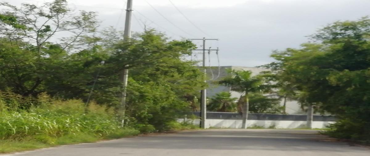 Foto de terreno habitacional en venta en  , xcanatún, mérida, yucatán, 23350751 No. 03