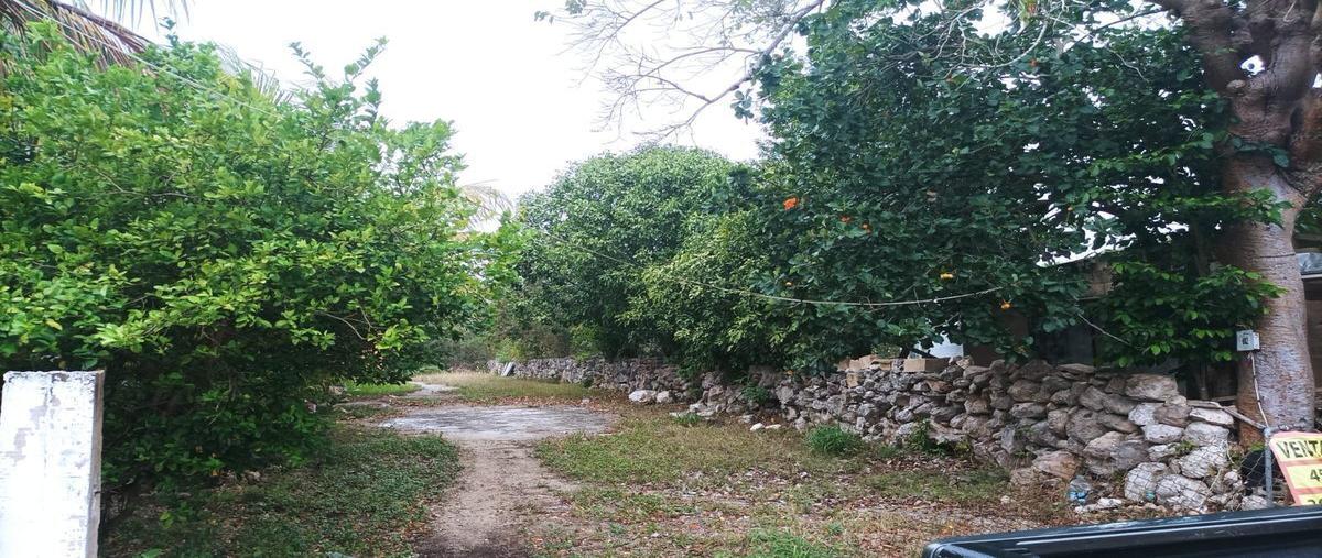 Foto de terreno habitacional en , xcanatún, mérida, yucatán, 26513123 foto 01 Foto de terreno habitacional en venta en , xcanatún, mérida, yucatán, 26513123 No. 01