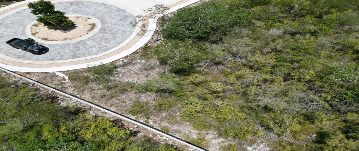 Foto de terreno habitacional en venta en  , xcanatún, mérida, yucatán, 27572899 No. 03