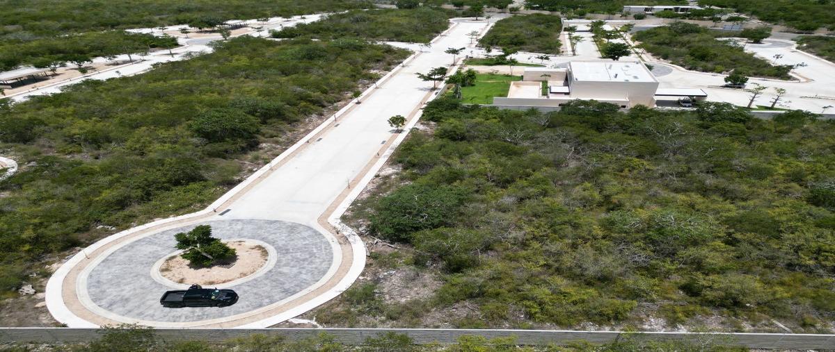 Foto de terreno habitacional en venta en  , xcanatún, mérida, yucatán, 27572899 No. 05