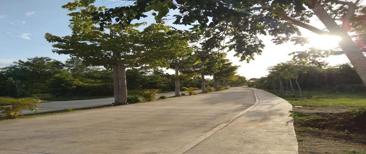 Foto de terreno habitacional en venta en  , xcanatún, mérida, yucatán, 0 No. 04