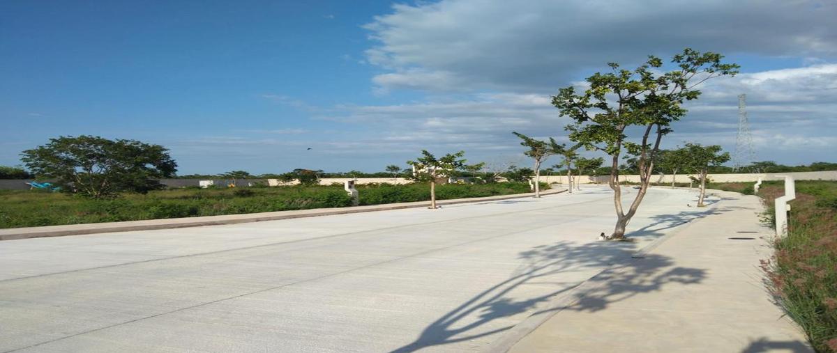 Foto de terreno habitacional en venta en  , xcanatún, mérida, yucatán, 0 No. 05