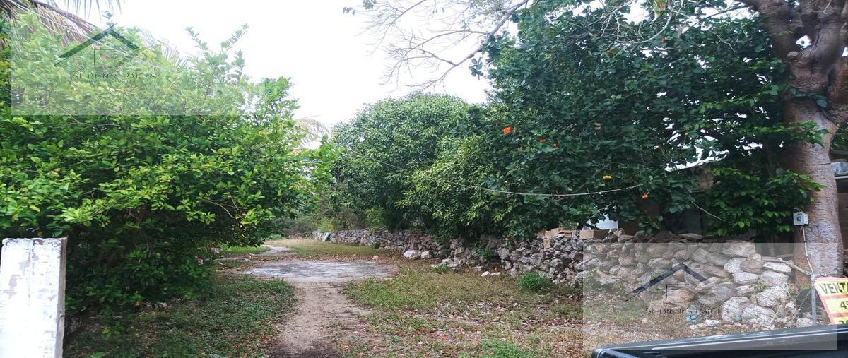 Foto de terreno habitacional en venta en  , xcanatún, mérida, yucatán, 0 No. 04
